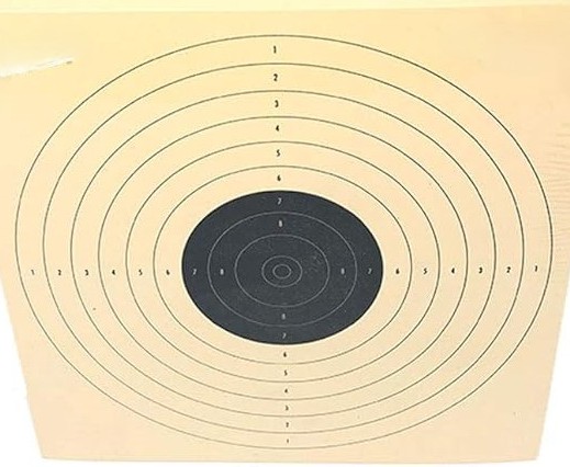 BLANCO DIANA PISTOLA 10X10 1 TINTA