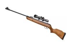 [RGBCH] RIFLE DE DIABOLO GAMO CAL 5.5 BIG CAT HUNTER  MIRA 4X32 WR 611008855-BC57