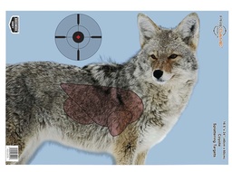 [BPCOY] BLANCO SILUETA PREGAME BC COYOTE 16.5&quot;X4&quot; 35405